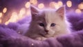 cat of the sky A rare lilac colored kitten with a soft, downy fur, sleeping soundly on a fluffy cloud pillow,