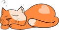Cat sleep cartoon