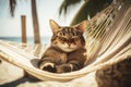 Cat sleep on a Hammock bed and sunbathing. Funny beach vacation with animal background. Generative AI.