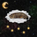 Cat in sleep mask sleeps on cloud bed Royalty Free Stock Photo