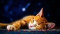 Cat is sleeping on a blue surface Royalty Free Stock Photo