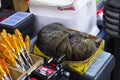 Cat sleeping in a box on the market. Imitation of a shredding cat.