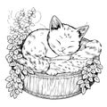 Cat sleeping coloring pages for kid