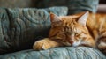 A cat sleeping on a couch with its eyes closed, AI Royalty Free Stock Photo