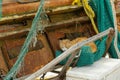 Cat sleeping on fishing net on old boat Royalty Free Stock Photo