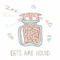 Cat sleeping in a glass jar. Cute style. Cats are liquid. Inscription. Vector Royalty Free Stock Photo