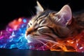 Cat sleeping on holografic rainbow lights, digital kitten