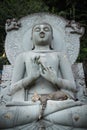 Cat sleeping on lap Buddha statues.