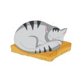 Cat sleeping on the pillow stock vector illustration Royalty Free Stock Photo