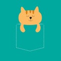 Cat sleeping in the pocket. Cute cartoon character. Orange kitten sleep kitty. Dash line.