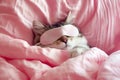 Cat sleeping in sleep mask lying in the bed. World Sleep Day concept. Rest and relax, daydreaming, healthy sleep, lazy day off