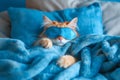 Cat sleeping in sleep mask lying in the bed. World Sleep Day concept. Rest and relax, daydreaming, healthy sleep, lazy day off