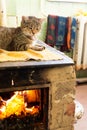 Cat sleeping on stove fireplace Royalty Free Stock Photo