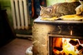 Cat sleeping on stove fireplace Royalty Free Stock Photo