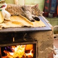 Cat sleeping on stove fireplace Royalty Free Stock Photo