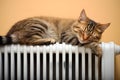 Tabby cat sleeping on white heating radiator in front of orange wall