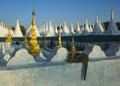 Cat sleeping on white wall of Sanda Muni Pagoda in Mandalay, Myanmar