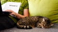 The cat sleeps next to caucasian man who is learning English online. Online learning concept. Man is sitting on a gray sofa with Royalty Free Stock Photo