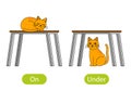 The cat sleeps ON the table and sits UNDER the table. the concept of children`s learning of opposite prepositions on and under.