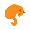 Cat sleeps. Vector illustration character with cat sleeping. Orange cat isolated on white backgroung. Flat style. Hand draw animal