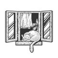Cat sleeps on window sketch vector illustration