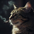 cat smoking image generative AI