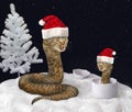 Cat snake and New Year 2 Royalty Free Stock Photo