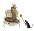 Cat snake in crown on throne Royalty Free Stock Photo