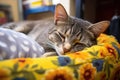 cat snoozing comfortably in a dog bed