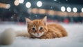 cat in snow An exhausted red kitten, fast asleep on a white fur blanket part of a whimsical scene