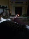 Cat snuggles with a candle