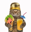 Cat with soft waffles and juice Royalty Free Stock Photo