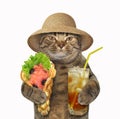 Cat with soft waffles and tea Royalty Free Stock Photo