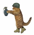 Cat soldier with grenade 2 Royalty Free Stock Photo