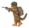 Cat soldier with revolver Royalty Free Stock Photo