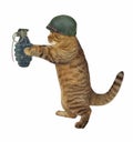 Cat soldier with grenade Royalty Free Stock Photo