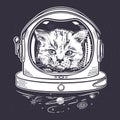 Cat in a space helmet. Astronaut. Portrait of a cat.