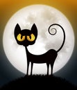 Cat on spooky orange background with full moon