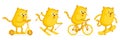 Cat sports entertainment set of stickers. Scooter ski bike and skateboard. Ginger cat. Mascot character. Active Royalty Free Stock Photo