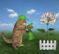 Cat spraying water on a money flower