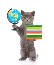 Cat standing on hind legs and holding books and globe. isolated on white background Royalty Free Stock Photo