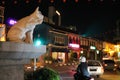 Cat Statue in Kuching Streets in night Royalty Free Stock Photo
