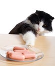 Cat steals sausages Royalty Free Stock Photo