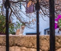 Cat on Stone Wall Behind Iron Bars Royalty Free Stock Photo