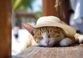 Cat in a straw hat basking in the sun