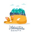 A cat on summer holiday illustration. A sleeping cat dreams of traveling to an exotic island. Mountains and trees on the back of
