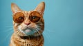 The cat in sunglasses.AI generated image Royalty Free Stock Photo
