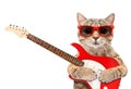 Cat in sunglasses with electric guitar Royalty Free Stock Photo