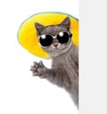 Cat in sunglasses and hat peeking from behind empty board and waving his paw. isolated on white background Royalty Free Stock Photo