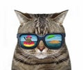 Cat in sunglasses with a reflection Royalty Free Stock Photo